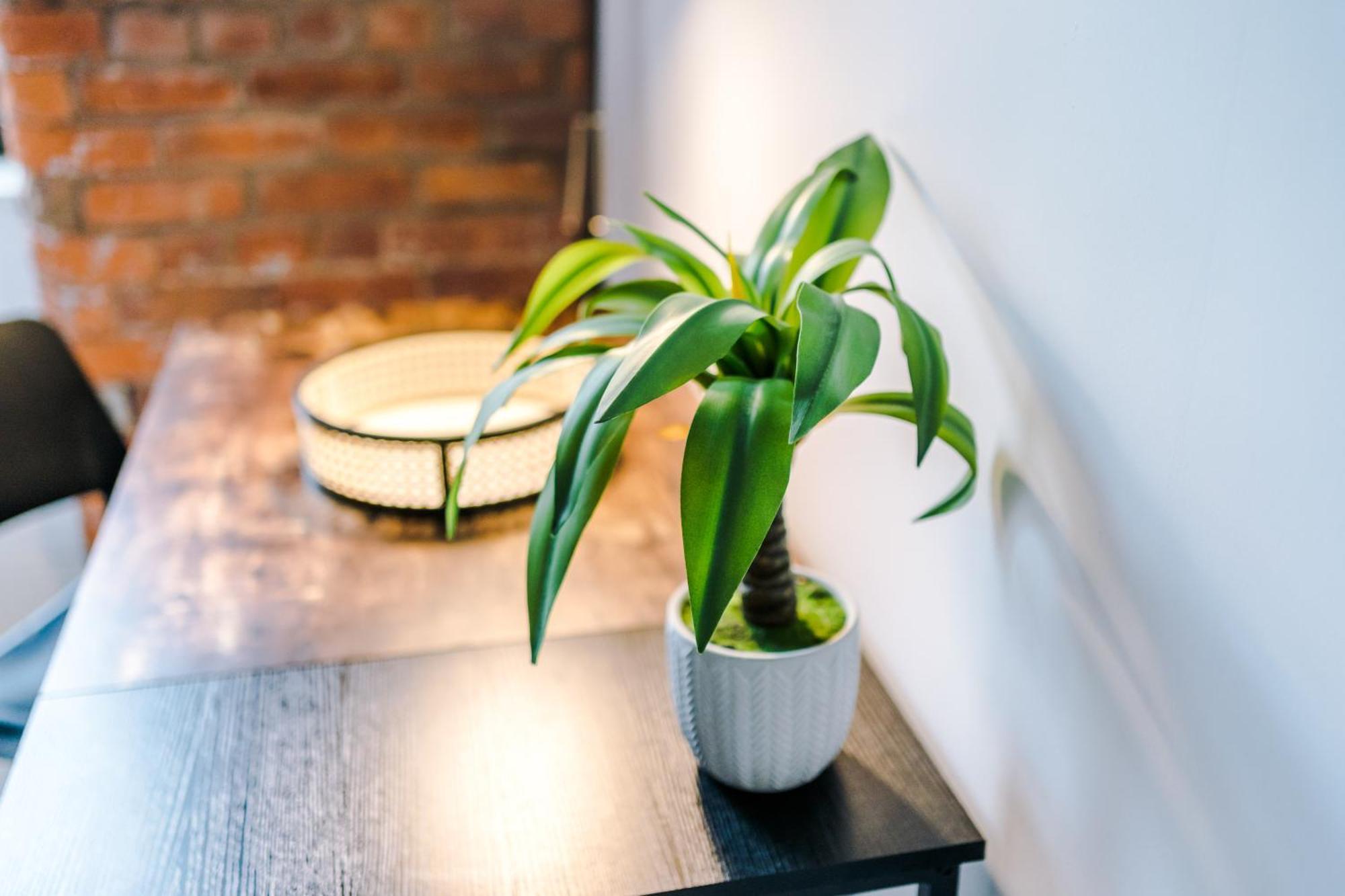 Converted Mill, Stylish In Castlefield Apartment Manchester